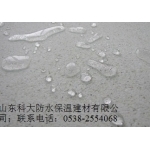 滨州TS防水卷材 6.5元背后的建筑防水新选择