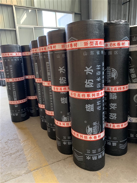盛秋防水材料 新型防水解决方案引领行业革新